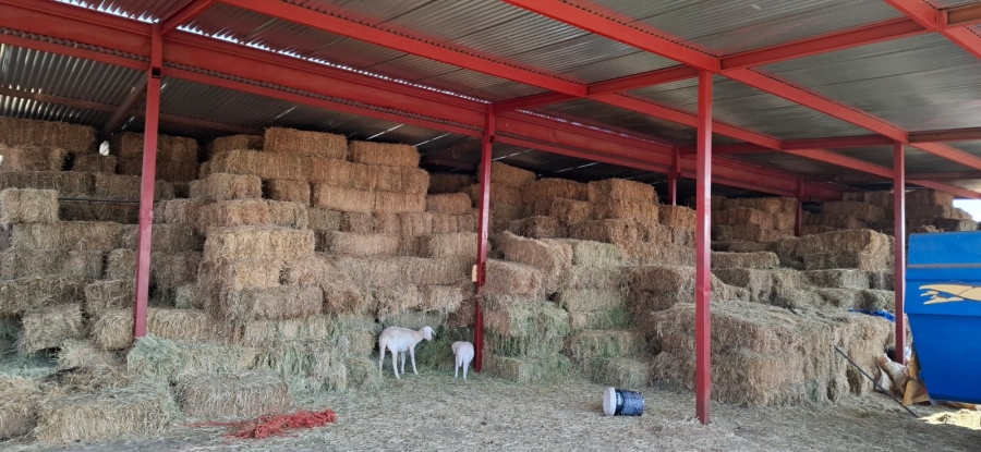 Bedroom Property for Sale in Jacobsdal Rural Free State
